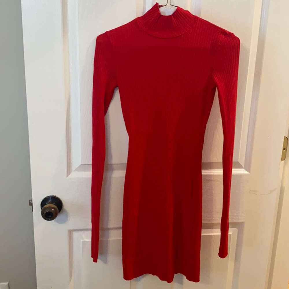 Turtle neck long sleeve dress!